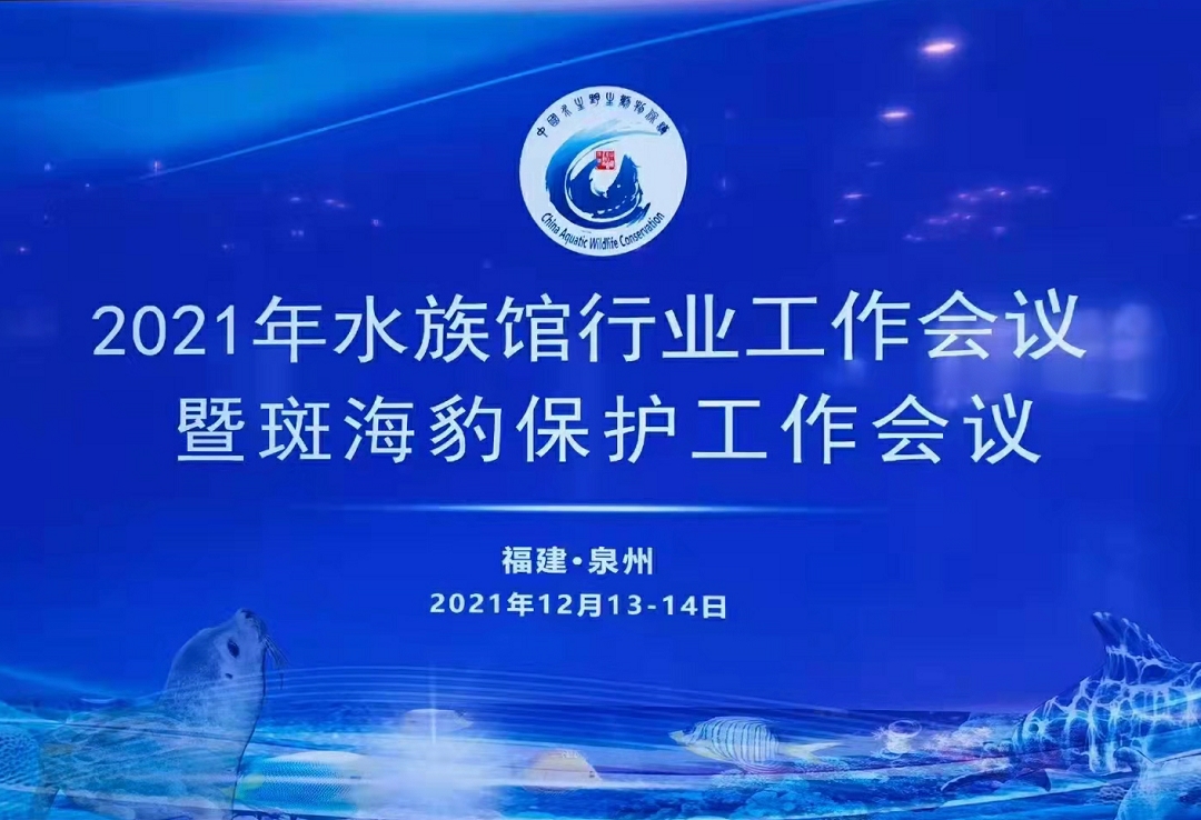 2021行業(yè)年會-1.jpg